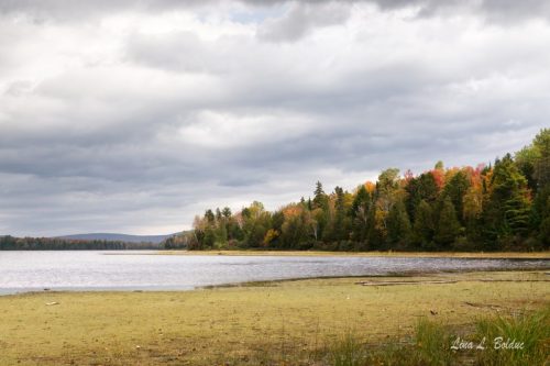 21_Lac_LINA_6 (Grande)